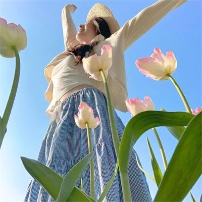 巴里穆迪